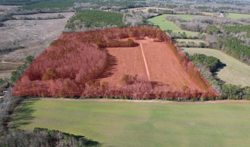 Photo #2 of 7368 Colonial Trail East, Surry, VA 35.7 acres