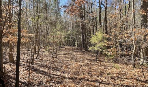 Photo #28 of 7368 Colonial Trail East, Surry, VA 35.7 acres