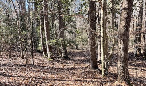 Photo #31 of 7368 Colonial Trail East, Surry, VA 35.7 acres