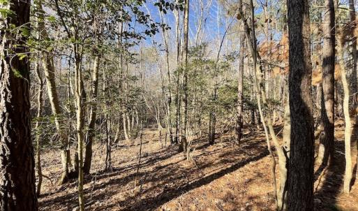 Photo #33 of 7368 Colonial Trail East, Surry, VA 35.7 acres