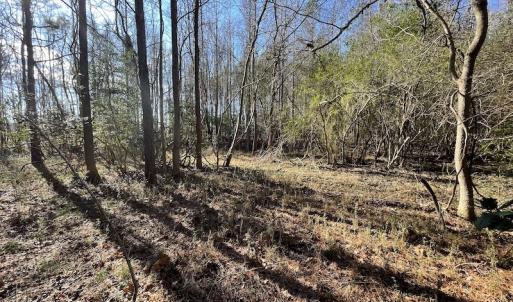 Photo #35 of 7368 Colonial Trail East, Surry, VA 35.7 acres