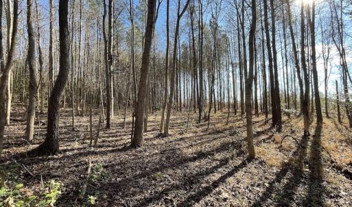 Photo #36 of 7368 Colonial Trail East, Surry, VA 35.7 acres