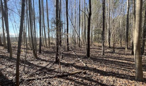 Photo #37 of 7368 Colonial Trail East, Surry, VA 35.7 acres