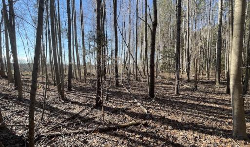 Photo #38 of 7368 Colonial Trail East, Surry, VA 35.7 acres