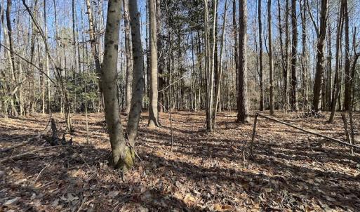 Photo #39 of 7368 Colonial Trail East, Surry, VA 35.7 acres