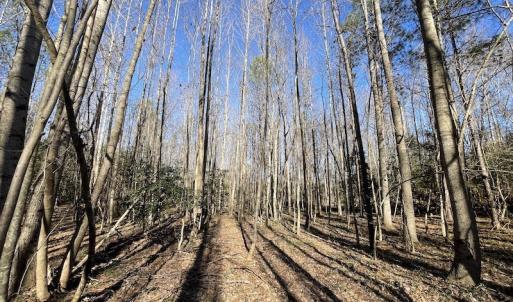 Photo #40 of 7368 Colonial Trail East, Surry, VA 35.7 acres