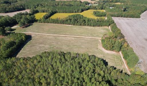 Photo #6 of 7368 Colonial Trail East, Surry, VA 35.7 acres