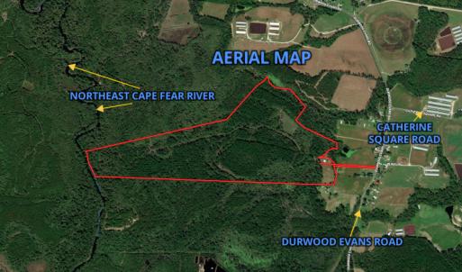 Photo #1 of SOLD property in Off Durwood Evans Road, Beulaville, NC 158.7 acres