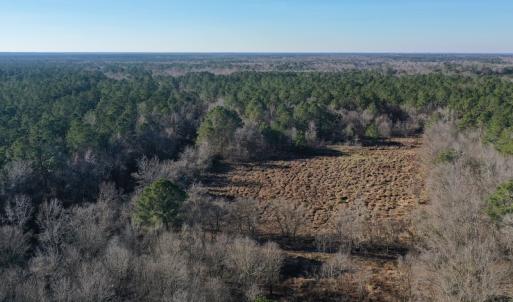 Photo #26 of SOLD property in Off Durwood Evans Road, Beulaville, NC 158.7 acres