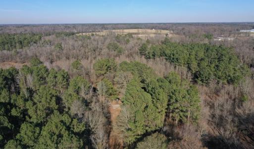 Photo #27 of SOLD property in Off Durwood Evans Road, Beulaville, NC 158.7 acres
