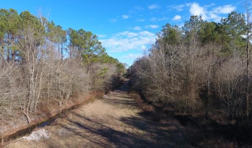 Photo #28 of SOLD property in Off Durwood Evans Road, Beulaville, NC 158.7 acres