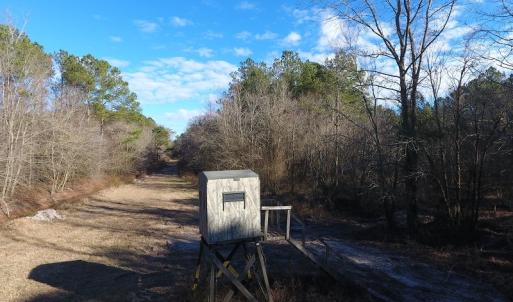 Photo #4 of SOLD property in Off Durwood Evans Road, Beulaville, NC 158.7 acres