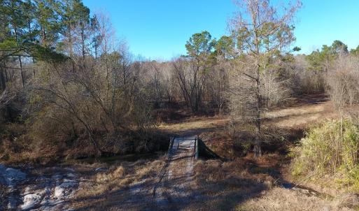 Photo #29 of SOLD property in Off Durwood Evans Road, Beulaville, NC 158.7 acres