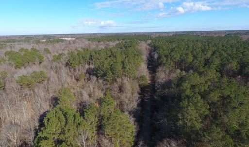 Photo #31 of SOLD property in Off Durwood Evans Road, Beulaville, NC 158.7 acres