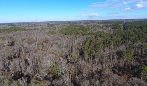 Photo #32 of SOLD property in Off Durwood Evans Road, Beulaville, NC 158.7 acres