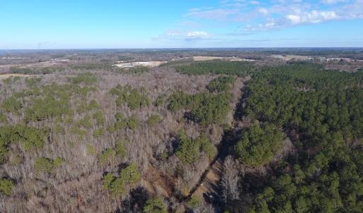 Photo #33 of SOLD property in Off Durwood Evans Road, Beulaville, NC 158.7 acres