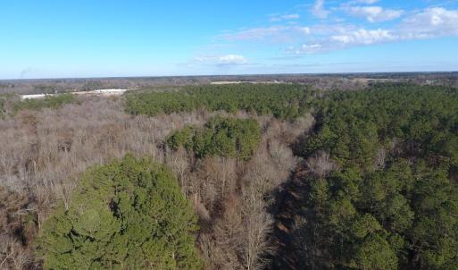 Photo #34 of SOLD property in Off Durwood Evans Road, Beulaville, NC 158.7 acres