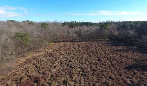 Photo #35 of SOLD property in Off Durwood Evans Road, Beulaville, NC 158.7 acres