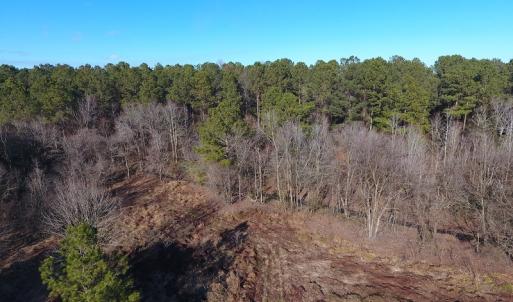 Photo #36 of SOLD property in Off Durwood Evans Road, Beulaville, NC 158.7 acres