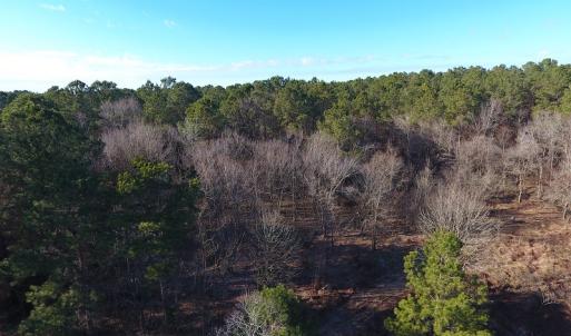 Photo #37 of SOLD property in Off Durwood Evans Road, Beulaville, NC 158.7 acres