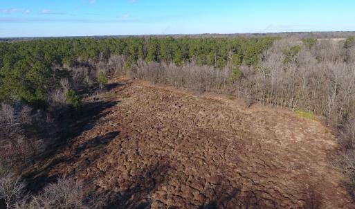 Photo #39 of SOLD property in Off Durwood Evans Road, Beulaville, NC 158.7 acres