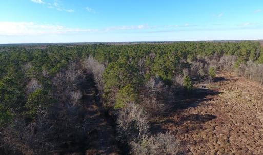 Photo #40 of SOLD property in Off Durwood Evans Road, Beulaville, NC 158.7 acres