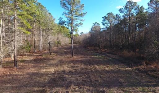 Photo #42 of SOLD property in Off Durwood Evans Road, Beulaville, NC 158.7 acres