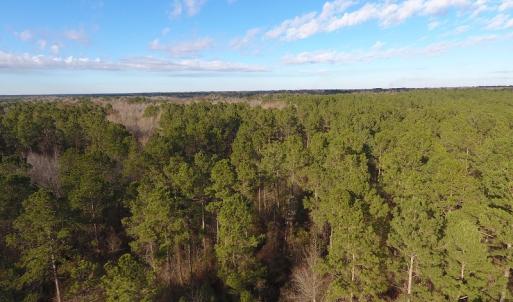 Photo #43 of SOLD property in Off Durwood Evans Road, Beulaville, NC 158.7 acres