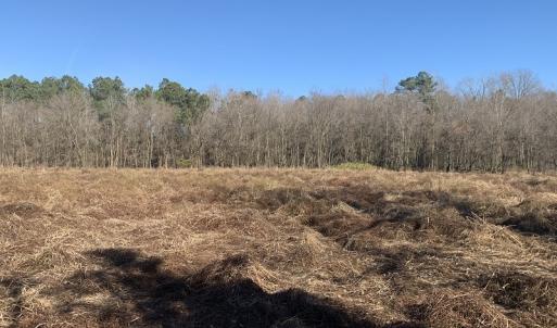 Photo #45 of SOLD property in Off Durwood Evans Road, Beulaville, NC 158.7 acres
