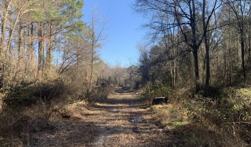 Photo #46 of SOLD property in Off Durwood Evans Road, Beulaville, NC 158.7 acres