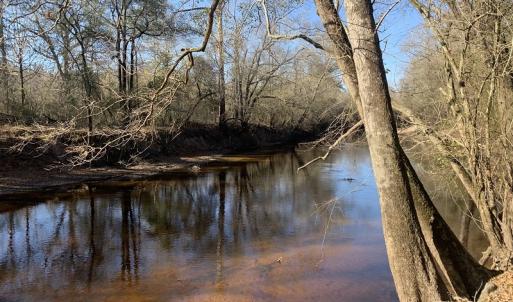 Photo #48 of SOLD property in Off Durwood Evans Road, Beulaville, NC 158.7 acres