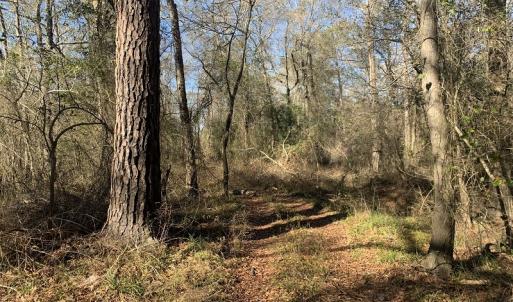 Photo #51 of SOLD property in Off Durwood Evans Road, Beulaville, NC 158.7 acres