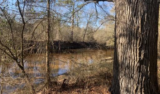 Photo #52 of SOLD property in Off Durwood Evans Road, Beulaville, NC 158.7 acres