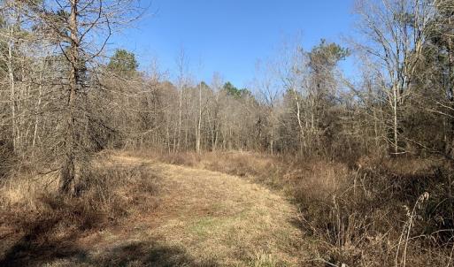 Photo #54 of SOLD property in Off Durwood Evans Road, Beulaville, NC 158.7 acres