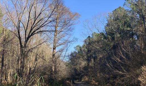 Photo #55 of SOLD property in Off Durwood Evans Road, Beulaville, NC 158.7 acres