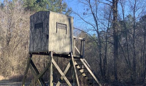Photo #7 of SOLD property in Off Durwood Evans Road, Beulaville, NC 158.7 acres