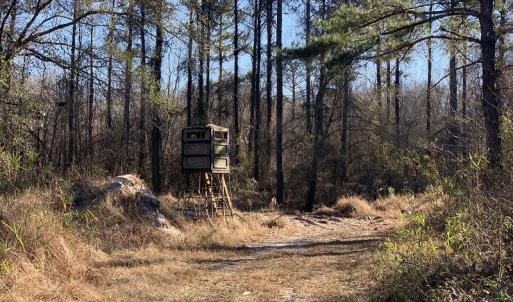 Photo #56 of SOLD property in Off Durwood Evans Road, Beulaville, NC 158.7 acres