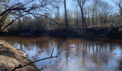 Photo #8 of SOLD property in Off Durwood Evans Road, Beulaville, NC 158.7 acres
