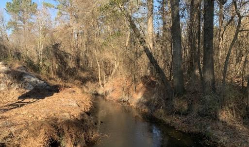 Photo #9 of SOLD property in Off Durwood Evans Road, Beulaville, NC 158.7 acres