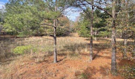 Photo #11 of SOLD property in 114 White Creek Road, Longs, SC 47.0 acres