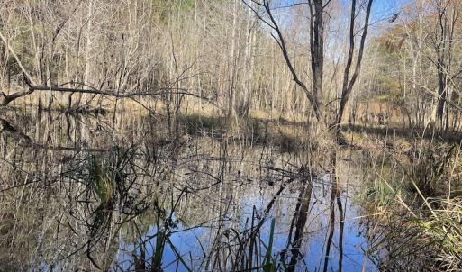 Photo #14 of SOLD property in 114 White Creek Road, Longs, SC 47.0 acres