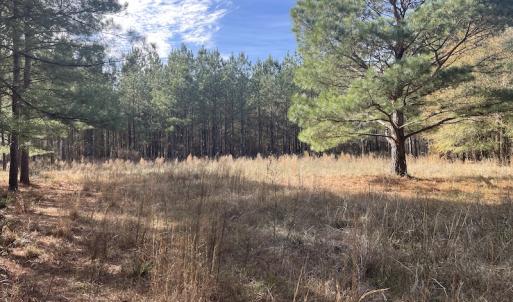 Photo #16 of SOLD property in 114 White Creek Road, Longs, SC 47.0 acres