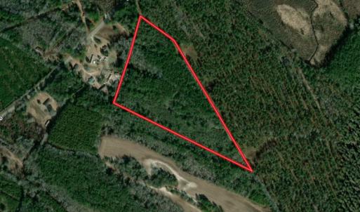 Photo #1 of SOLD property in Off Sykestown Rd., Currie, NC 16.0 acres