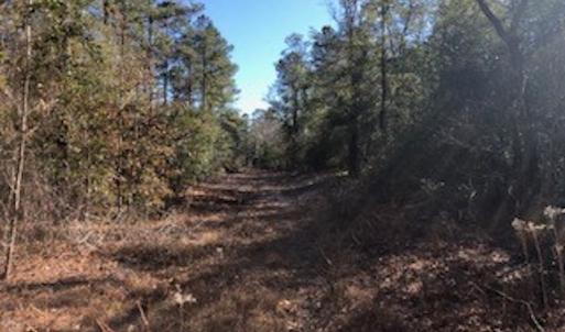 Photo #6 of SOLD property in Off Sykestown Rd., Currie, NC 16.0 acres