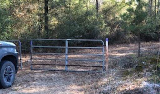 Photo #12 of SOLD property in Off Sykestown Rd., Currie, NC 16.0 acres