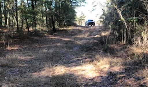Photo #10 of SOLD property in Off Sykestown Rd., Currie, NC 16.0 acres