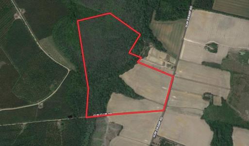 Photo #1 of Off Gum Swamp Road, Sellers , SC 125.0 acres