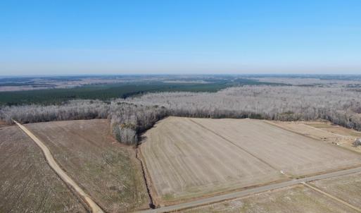 Photo #5 of Off Gum Swamp Road, Sellers , SC 125.0 acres