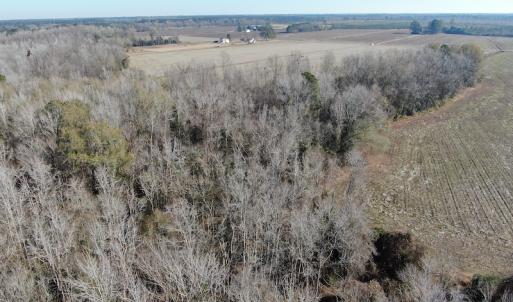 Photo #6 of Off Gum Swamp Road, Sellers , SC 125.0 acres