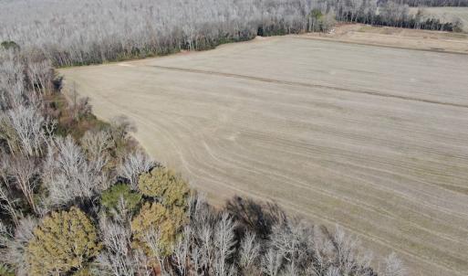 Photo #7 of Off Gum Swamp Road, Sellers , SC 125.0 acres